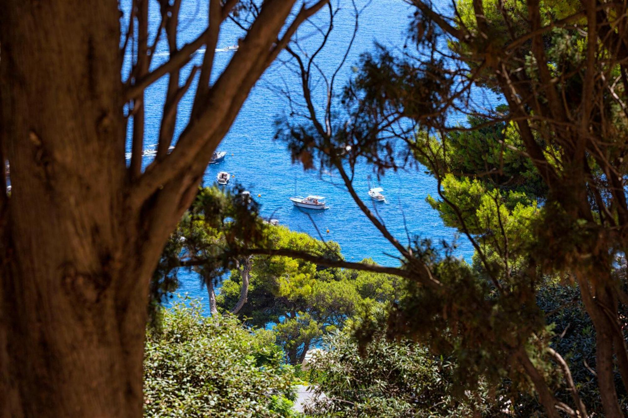 Casa Schiattarella Capri Hotel Buitenkant foto
